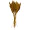 Dried Plant Bamboo Natural Foliage with Long Stems